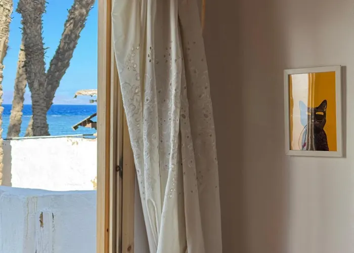 Apartment Luma Beachfront 2 Bedroom House Oasis With Yard *